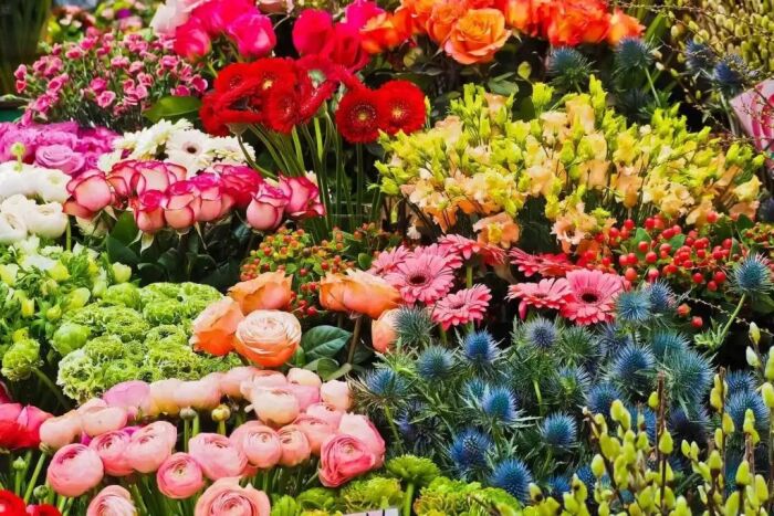 Which Flowers Last Longest?